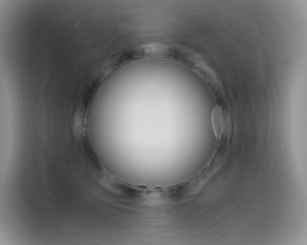 X0000114430419200910161036