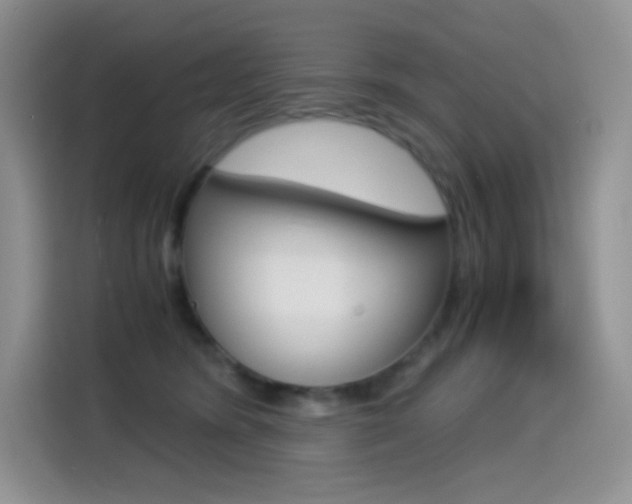 X0000114430420200910161036