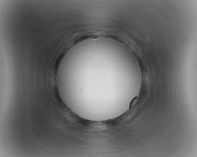 X0000114430421200910161036