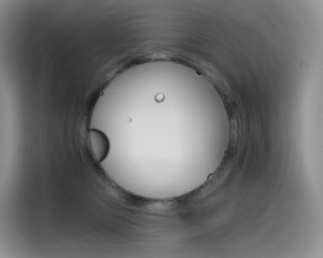 X0000114430422200910161036