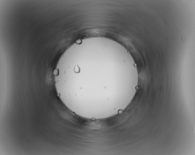 X0000114430423200910161036