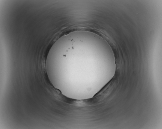 X0000114430425200910161036