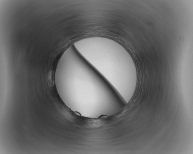 X0000114430428200910161036