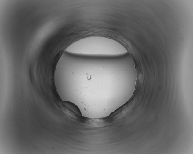 X0000114430429200910161036