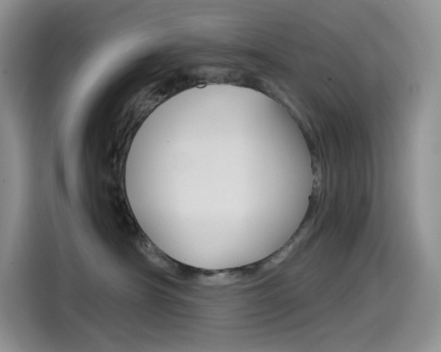 X0000114430430200910161036