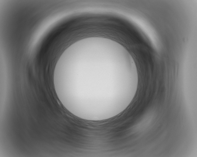 X0000114430431200910161036