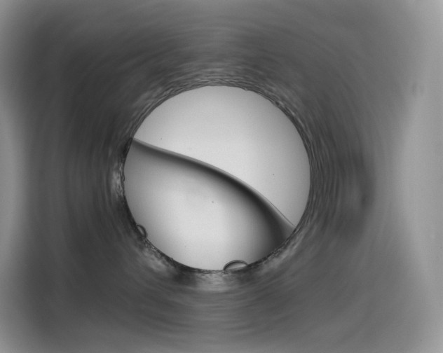 X0000114430432200910161036