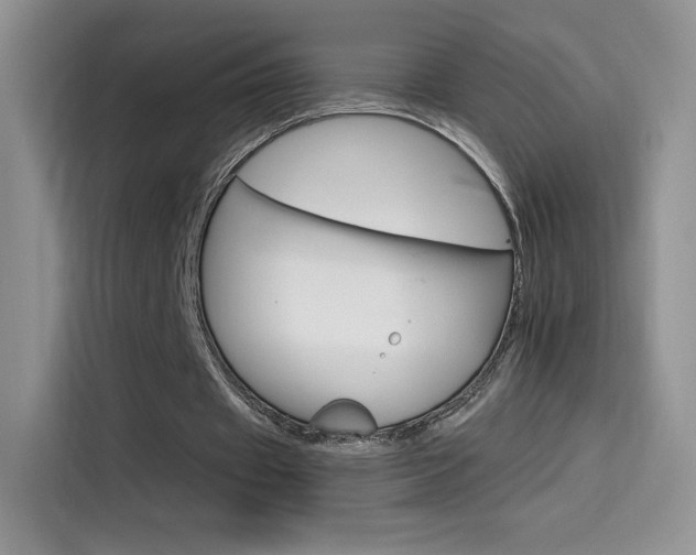 X0000114430433200910161035