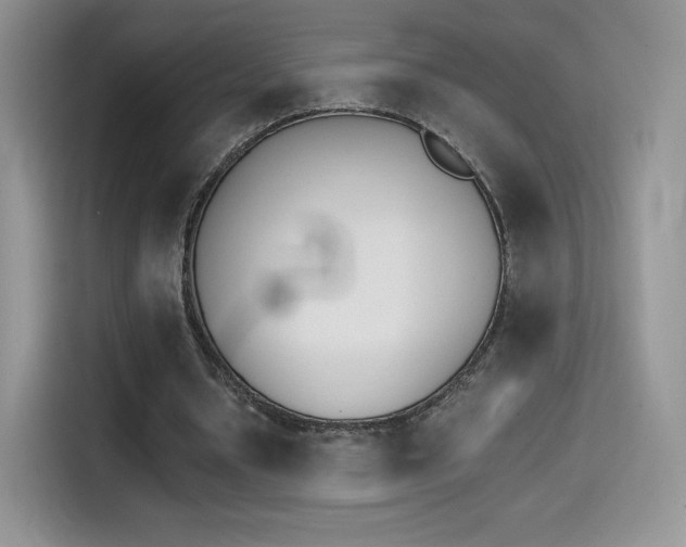 X0000114430434200910161035