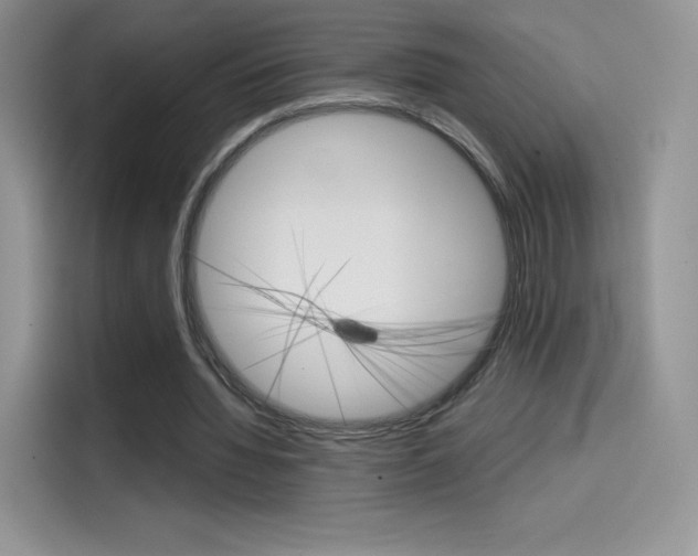 X0000114430436200910161035