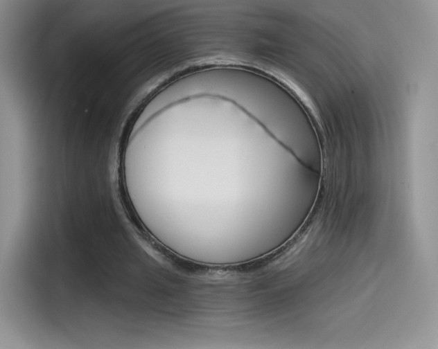 X0000114430437200910161035
