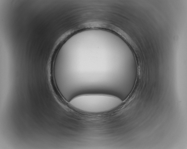 X0000114430438200910161035