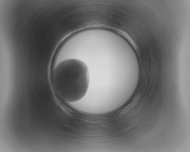 X0000114430439200910161035