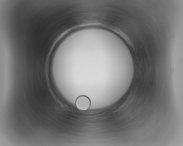 X0000114430440200910161035