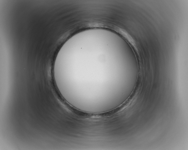 X0000114430441200910161035