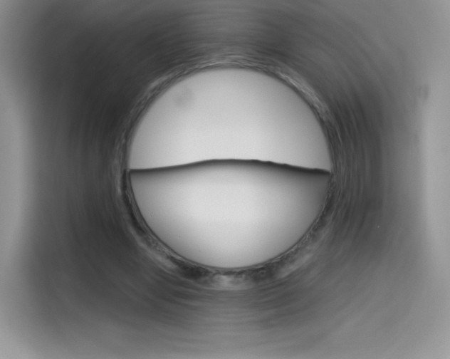 X0000114430442200910161035