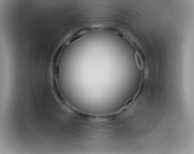 X0000114430444200910161035
