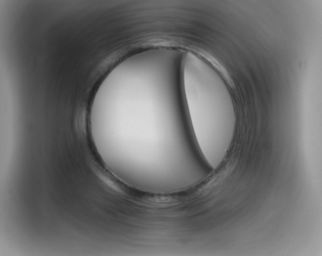 X0000114430445200910161035