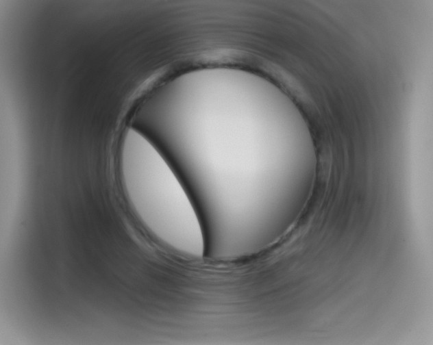 X0000114430446200910161035