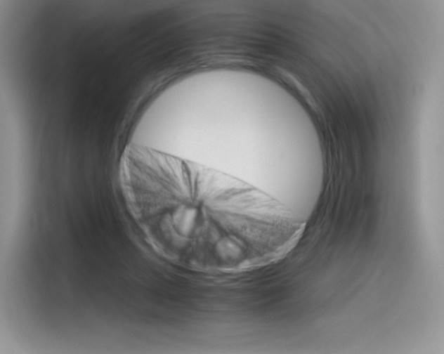 X0000114430447200910161035