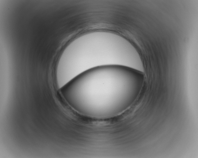 X0000114430448200910161035