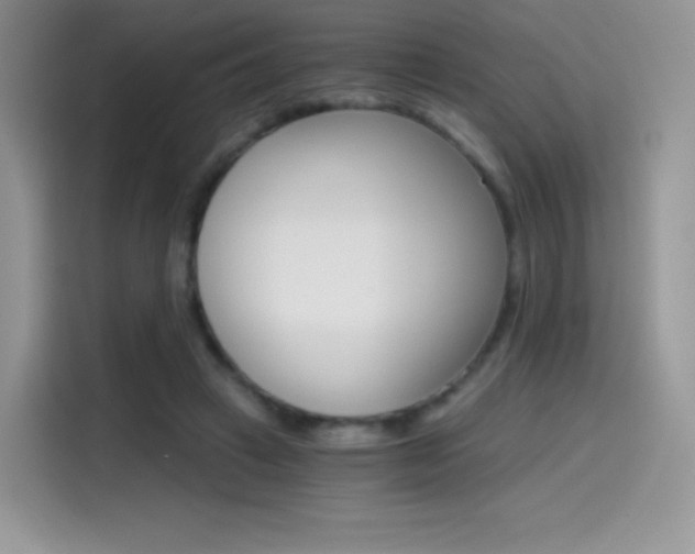 X0000114430449200910161035