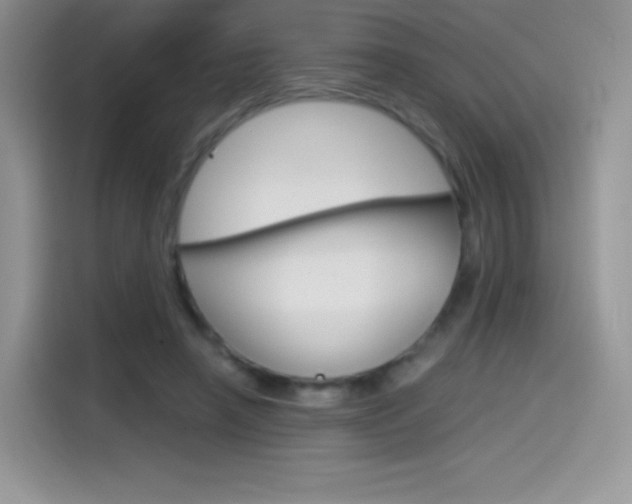 X0000114430450200910161035