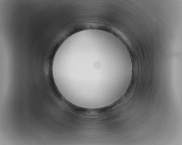 X0000114430451200910161035