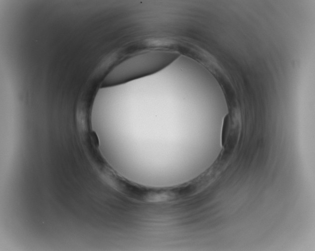 X0000114430452200910161035