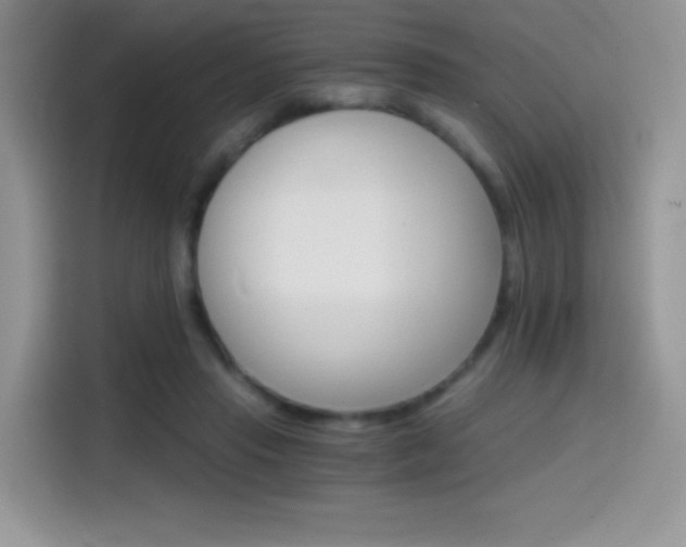 X0000114430453200910161035