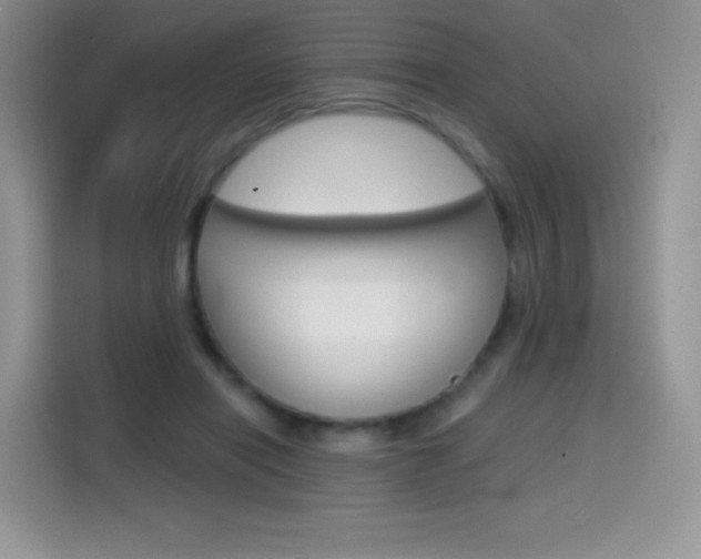 X0000114430454200910161035