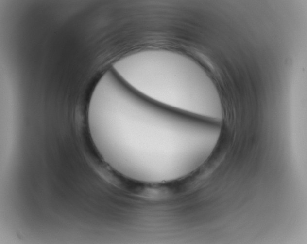 X0000114430455200910161035