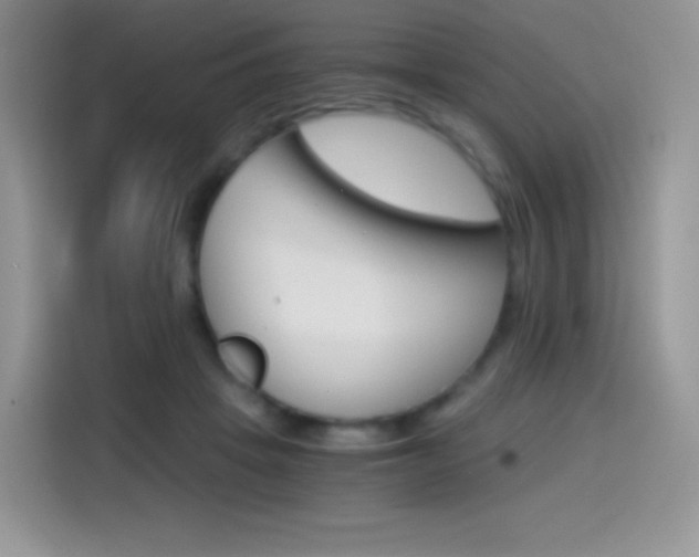 X0000114430457200910161035