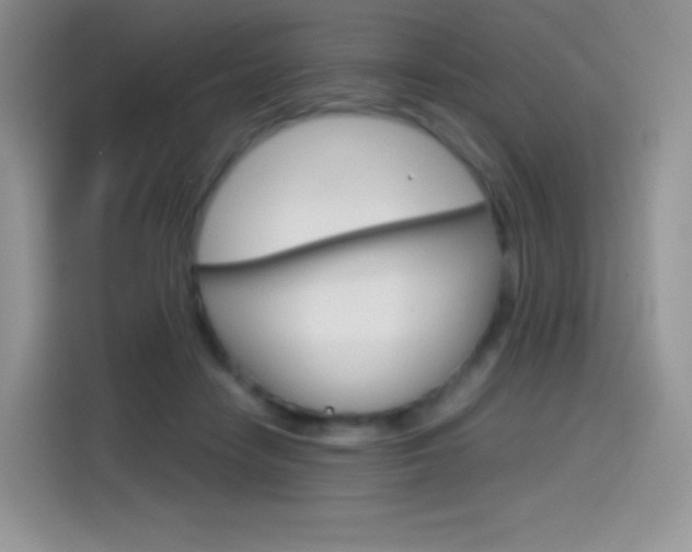 X0000114430458200910161035