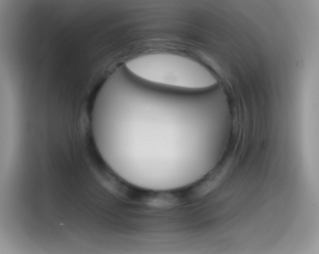 X0000114430459200910161035