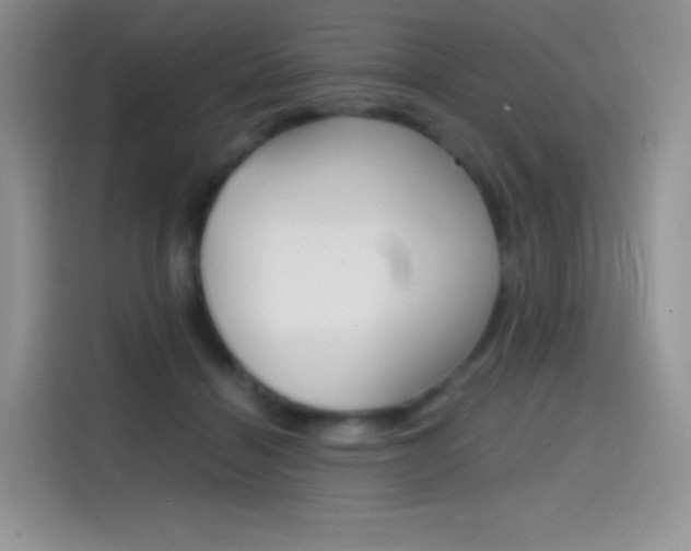 X0000114430460200910161035
