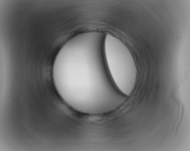 X0000114430462200910161035