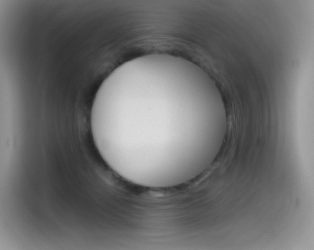 X0000114430464200910161035