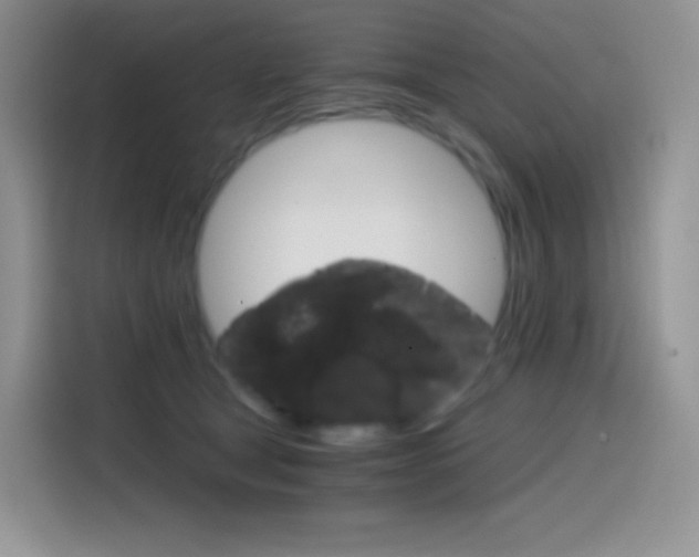 X0000114430465200910161035