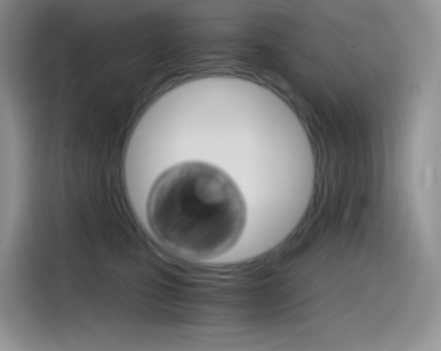 X0000114430471200910161035
