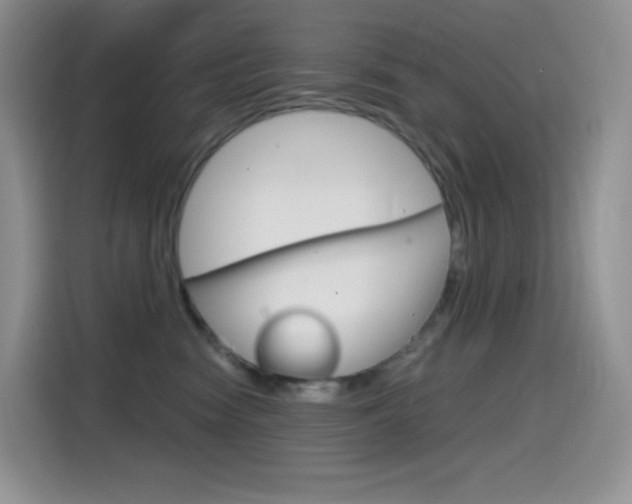 X0000114430474200910161035
