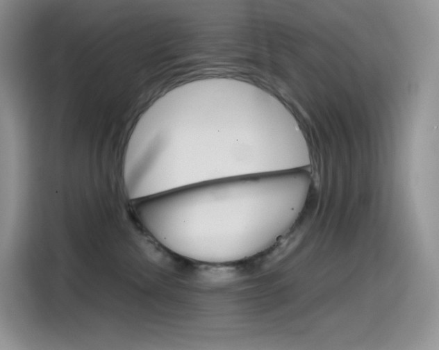 X0000114430476200910161036