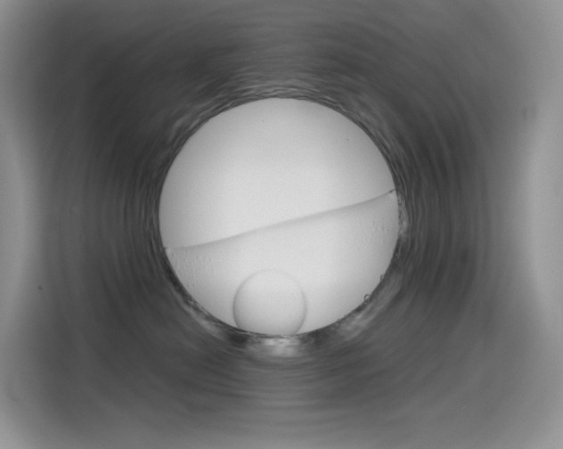 X0000114430478200910161036