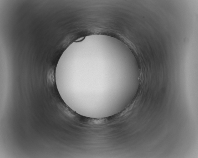 X0000114430479200910161036