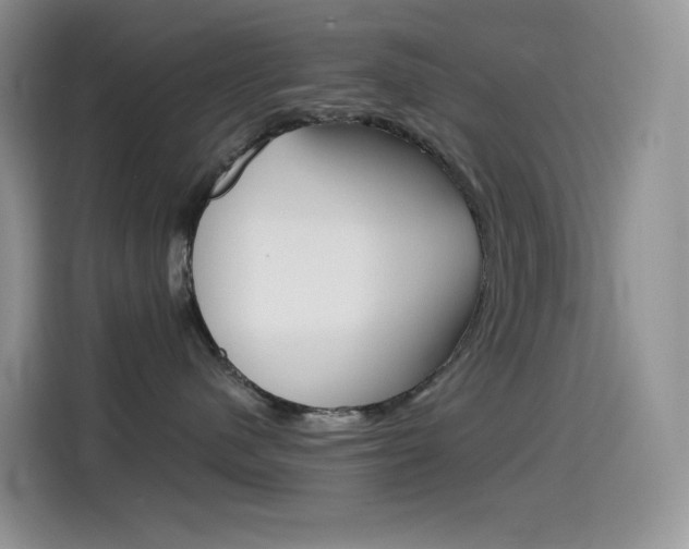 X0000114430480200910161036
