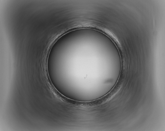 X0000114430481200910161035