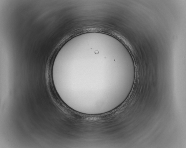X0000114430482200910161035