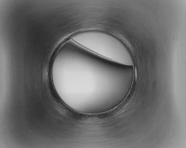 X0000114430483200910161035