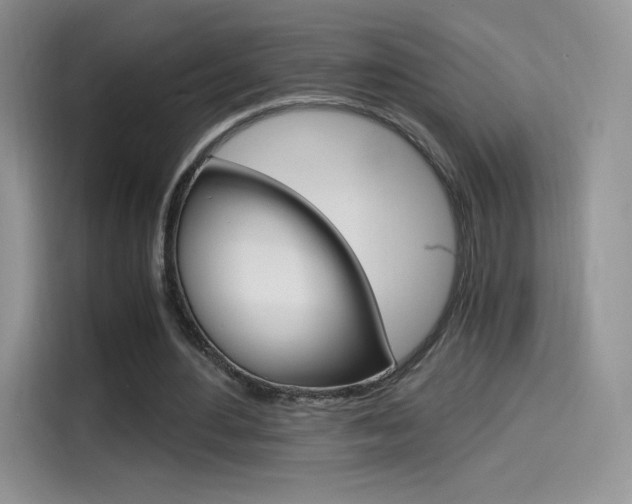 X0000114430484200910161035