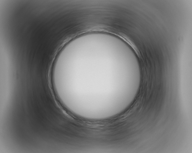 X0000114430485200910161035